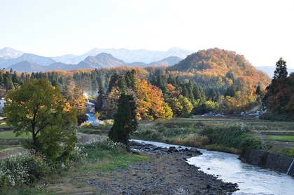 DSC_2723.JPG