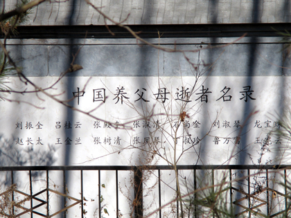 2014.10.養父母の墓6.JPG