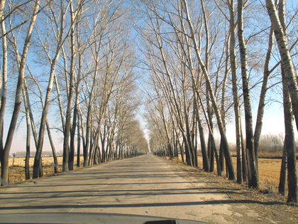 2014年10月21日.吉利村2.JPG
