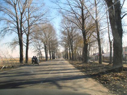 2014年10月21日1.JPG