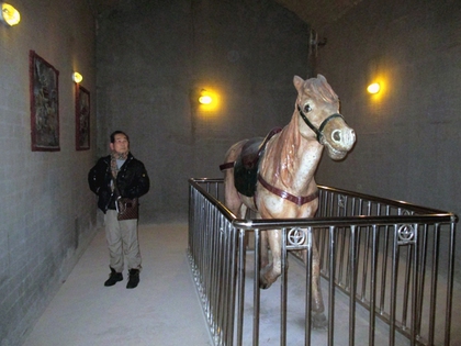 地下的皇帝愛馬.JPG