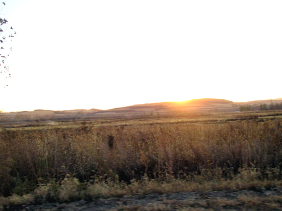 http://www.nichuk.com/images/2014.10.16.%E6%97%A5%E6%B2%A15.JPG