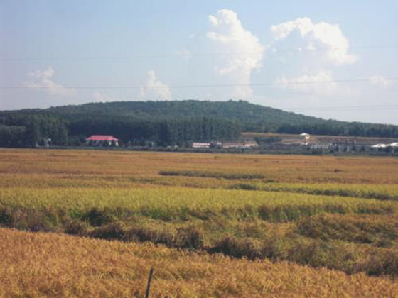 http://www.nichuk.com/images/2014.9.%E7%A0%B2%E5%8F%B0%E5%B1%B1.jpg