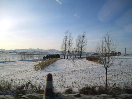 http://www.nichuk.com/images/2015.1.15.%E5%BB%B6%E5%AF%BF%E7%9A%84%E5%86%AC4.JPG
