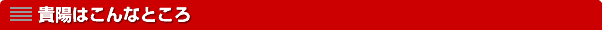 𗬉bMz͂ȂƂ