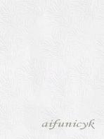 -13105 ݷ뺧 ӡǫ 2